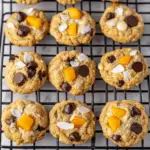 Coconut Mango Chocolate Chip Cookies