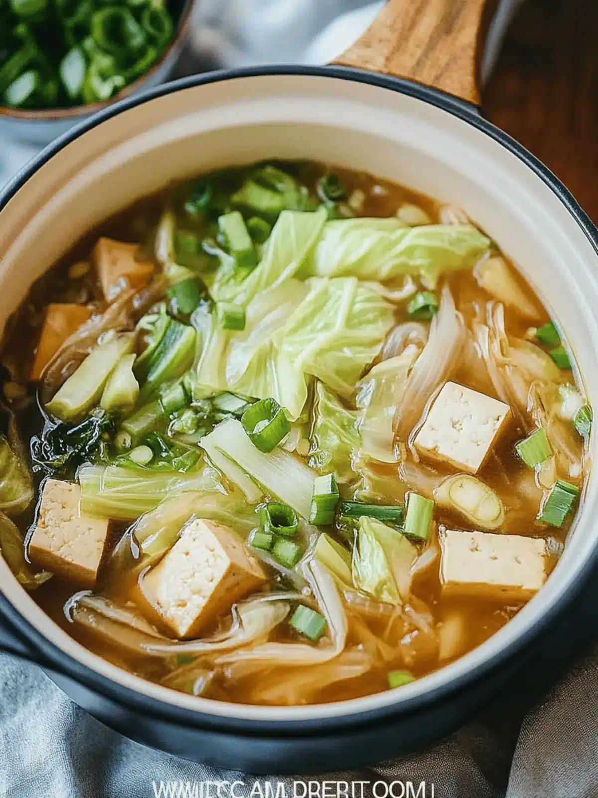 Napa Cabbage Tofu Soup