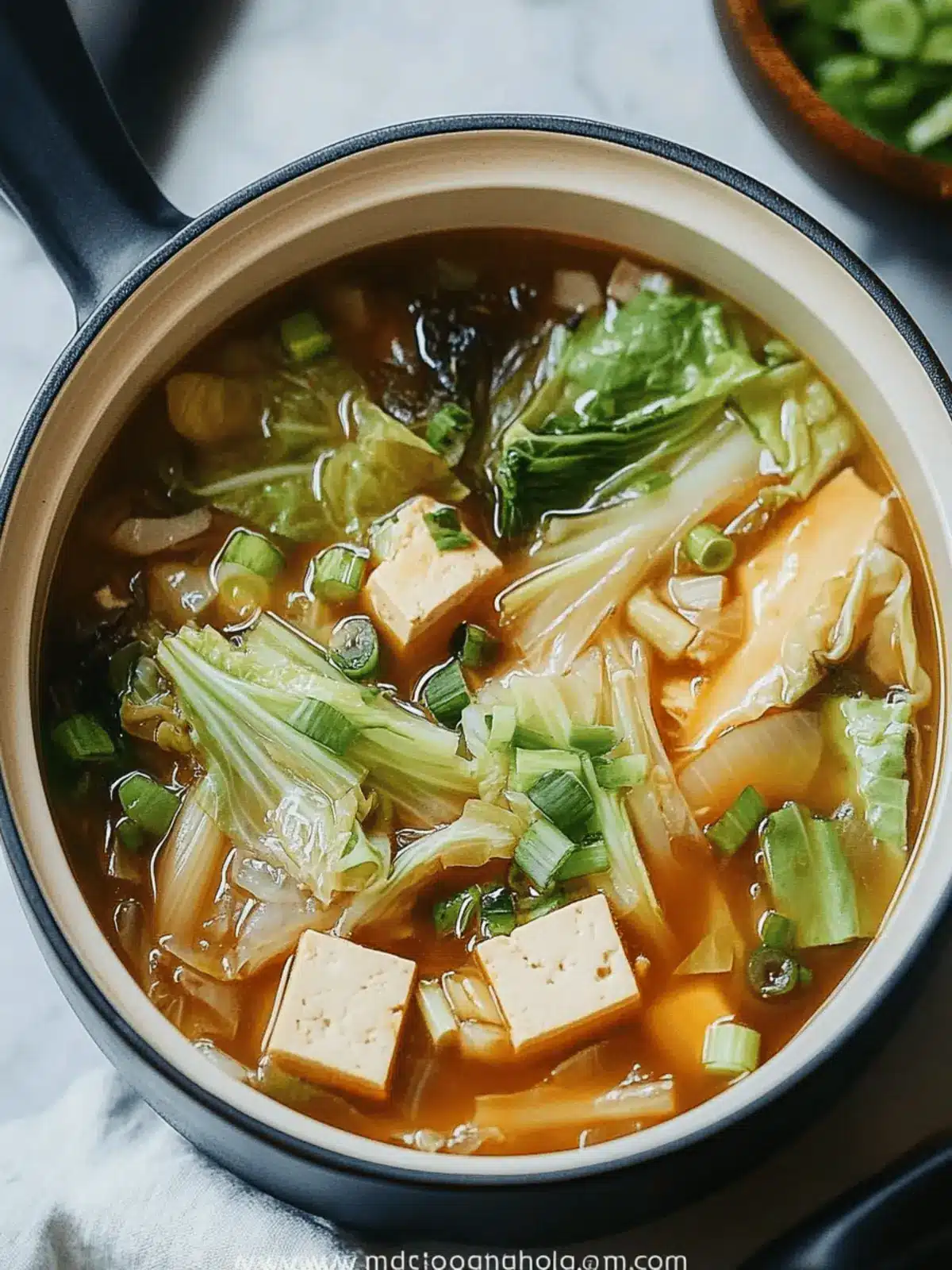 Napa Cabbage Tofu Soup