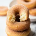 Cinnamon Sugar Vegan Donuts That Make Mornings Magical 7 Cinnamon Sugar Vegan Donuts