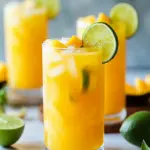 Refreshing Mango Lime Spritzer for Ultimate Tropical Vibes 8 Mango Lime Spritzer
