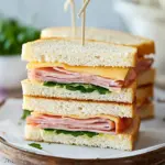 Delicious Ham and Cheese Circle Sandwiches for Fun Gatherings 9 Ham and Cheese Circle Sandwiches