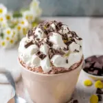 Irresistible Chocolate Fluff Salad for Sweet Cravings 7 Chocolate Fluff