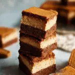 Decadent Vegan Biscoff Brownies That Wow Every Bite 45 Vegan Biscoff Brownies