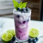 Refreshing Blueberry Coconut Cooler Mocktail for Instant Bliss 2 Blueberry Coconut Cooler Mocktail
