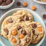 Decadent Reese’s Peanut Butter Pudding Cookies You’ll Crave 6 Reese’s Peanut Butter Pudding Cookies